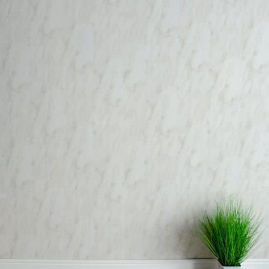 Green plant on a white surface with a light gray background_10mm Storm Grey Marble Gloss Shower Panel 1M x 2.4M
